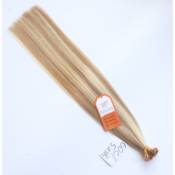 Ombre-Color-#60C - #5ash-100%-Remy-Hair-Flat-Tip-Hair-Extensions-Az-Hair-Vietnam-Wholesale-Price.